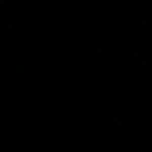 Meet your Posher, Daisy